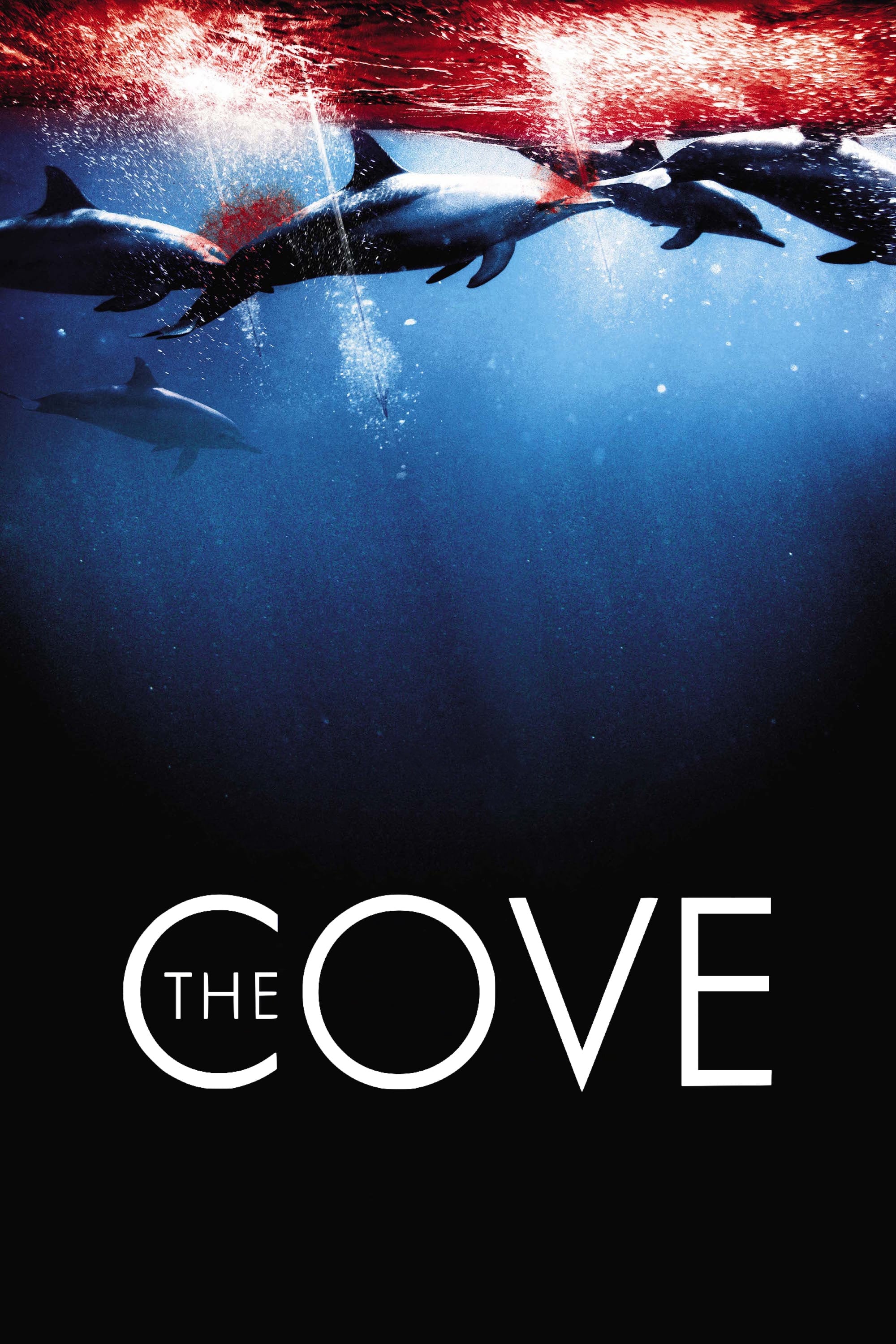 Постер The Cove